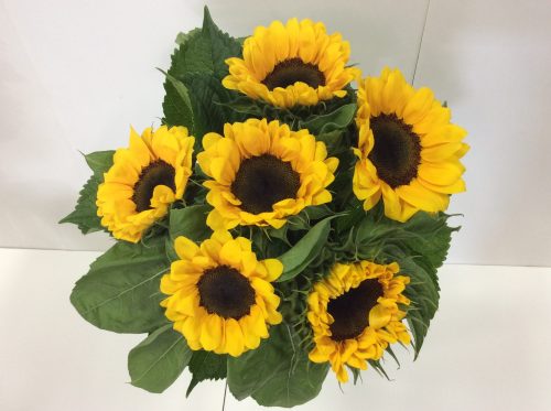 sunflowers